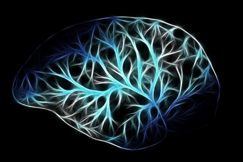 The Affects Of A Traumatic Brain Injury
