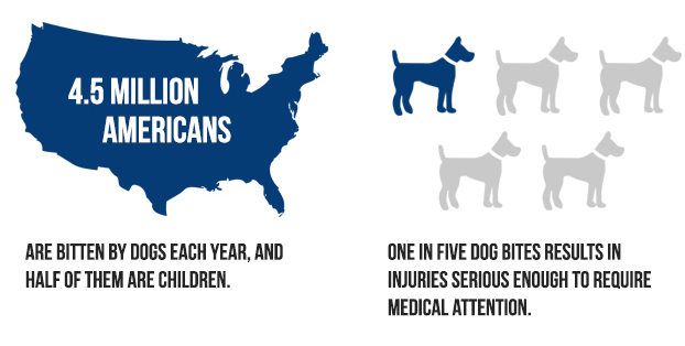 How To Protect Your Child From Dog Bites And Dog Attacks